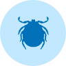 ícone do carrapato Riphicephalus microplus, na cor azul, sobre um fundo circular azul