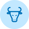 ícone da cabeça de um bovino, vista frontal, com chifres, orelhas, olhos e narinas visivéis
